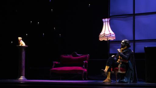 Centro nacional de las artes delia zapata olivella: fechas y programación