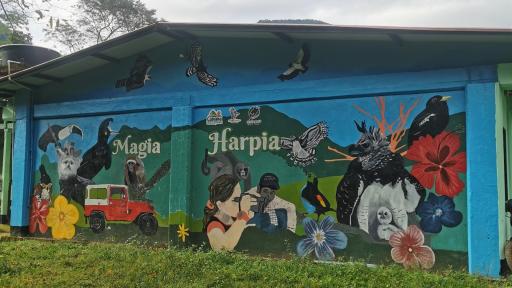 Meta: estudiantes de Vistahermosa cuidan el ambiente y fortalecen el turismo