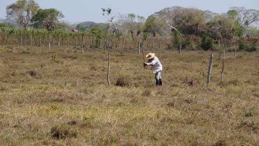 Entregan tierras en propiedad de los hermanos Castaño Gil para las victimas