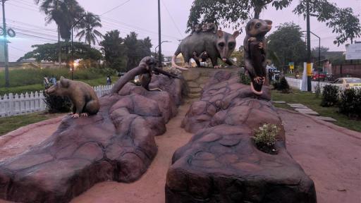 Ruta de la Zarigüeya Buenaventura