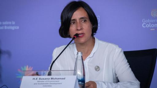 Susana Muhamad.  Ministra de Ambiente y Desarrollo Sostenible.