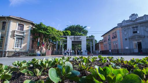 Emergencia hospitalaria Medellín: San Vicente supera 150% de capacidad en Urgencias