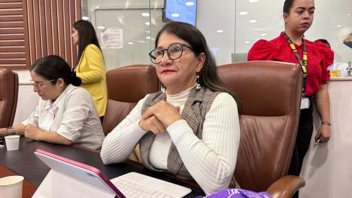 Golpe blando contra el presidente Petro: esto opina Sandra Ramírez