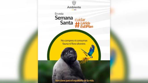 Semana Santa: refuerzan controles por tráfico ilegal de fauna y flora