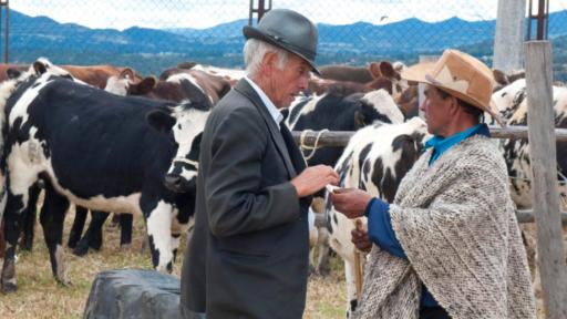 Lanzamiento de la 10ª edición de SiembraFest- inscripciones- cronograma