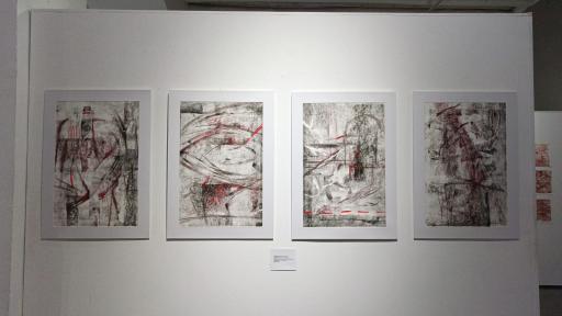 Exposición “Sororidad” reúne a mujeres artistas del sur de Colombia