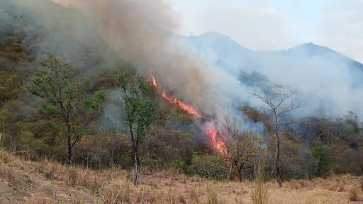 Incendio forestal HOY Natagaima: afectaciones municipio