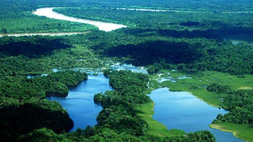 Deforestación Colombia 2023: cifras, reducción