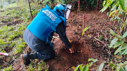 Toledo, Norte de Santander libre de minas antipersona 