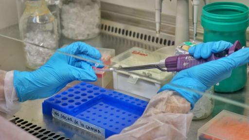 Laboratorio de pruebas Covid-19