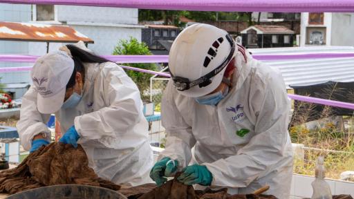 Neiva: Hallan restos de personas desaparecidas en el Cementerio Central