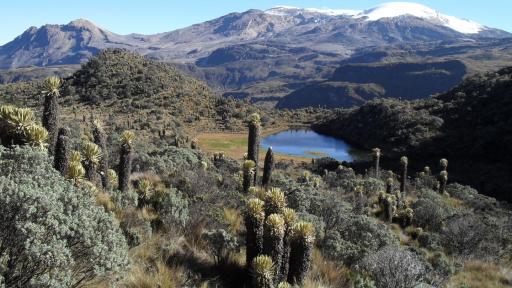 Geoparque del Nevado del Ruiz busca reconocimiento de la UNESCO