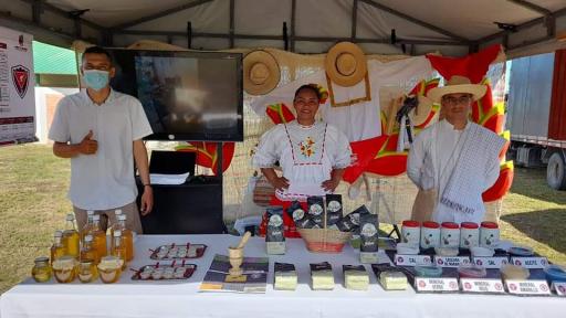 De los domicilios a la apicultura: las abejas que cambiaron la vida de una familia tolimense