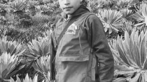 Breiner David Cucuñame