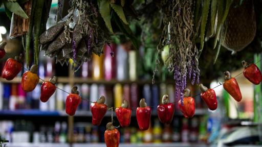 Descubre la plaza de mercado Samper Mendoza