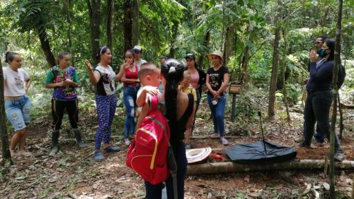 Excombatientes en Putumayo | abejas, paz, medio ambiente