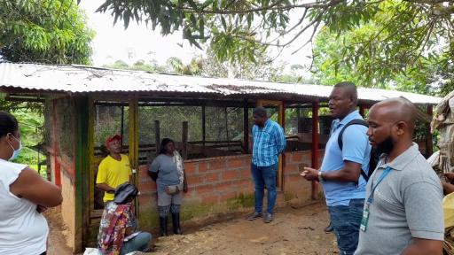Mujeres en Bojayá construyen con sus proyectos productivos soberanía alimentaria