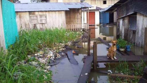 Inundaciones en Riosucio, Chocó, deja sin clases a 3 mil estudiantes