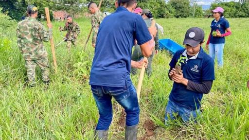 Mega viveros en el Meta