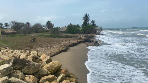 ¿Qué es la erosión costera y cómo podemos prevenirla? 