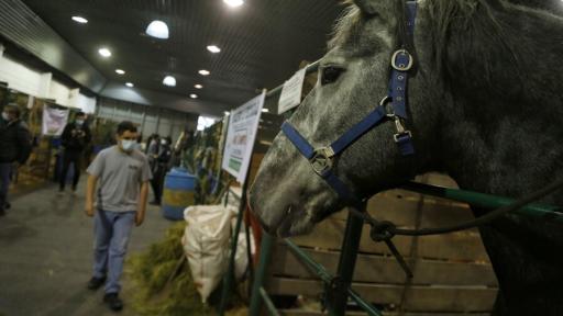 Agroexpo Bogotá 2023: fechas, eventos y lugar