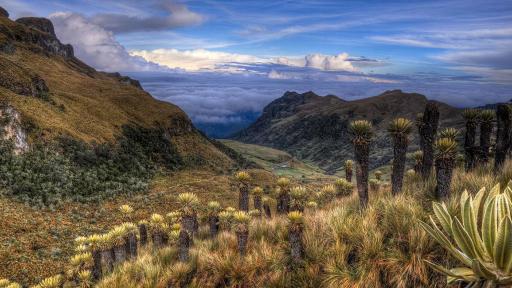 En Manizales, operadores turísticos piden reapertura del Nevado del Ruiz