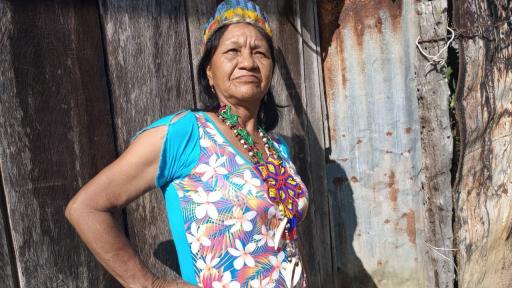 ‘La Cacica de San Agustín de Tarqui’ y su tradición en la mostacilla en Leguízamo‘La Cacica de San Agustín de Tarqui’ y su tradición en la mostacilla en Leguízamo