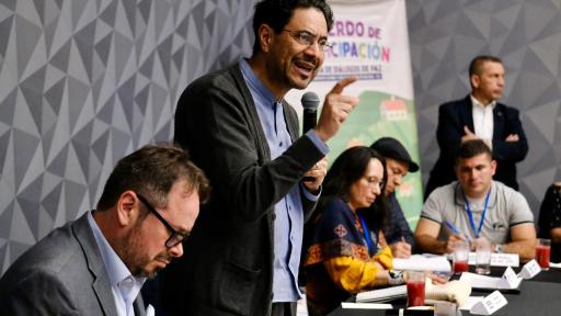 Quinta plenaria del Comité Nacional de Participación