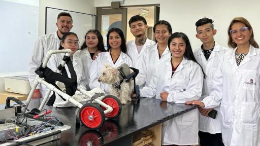 Proyecto para las mascotas con movilidad reducida 