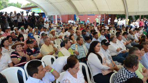 Producción de arroz: nuevo proyecto en Huila