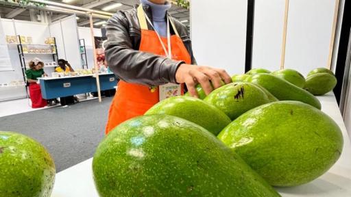 No te pierdas la Feria de Agricultura Campesina: ‘Mejor colombiano’