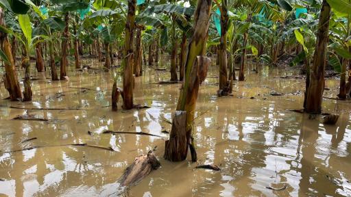Antioquia: Emergencia por lluvias dejan tres muertos y diez desaparecidos