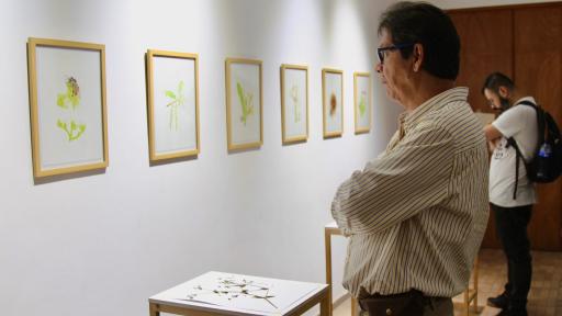 Manizales: Se acerca la Semana de los Museos