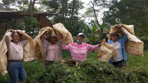 En el Meta mujeres víctimas de violencia le apuestan a emprender con la avicultura