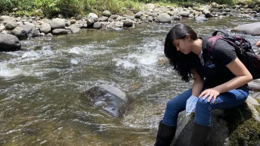 Canción sobre medioambiente Caldas: autora, campesinos