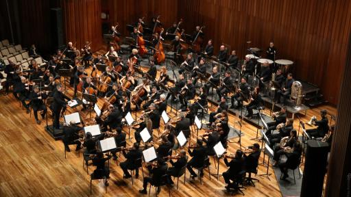 Filarmónica de Bogotá: presentación junto a Daniel Díaz