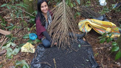 COP16: iniciativas conservación ambiental Amazonas