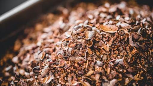 Cascarilla de cacao, de residuo de la industria chocolatera a materia prima para la obtención de bioplásticos