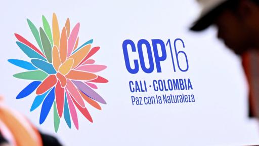 Inauguración COP16 20 octubre: invitados, actividades