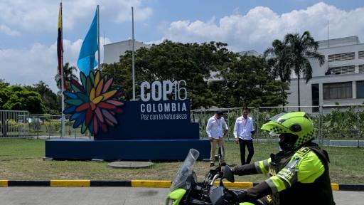 Pico y placa Cali en COP16: 21 al 25 de octubre