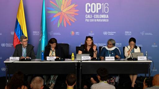 COP16, martes 22 de octubre. Horarios, eventos y dónde ver en vivo