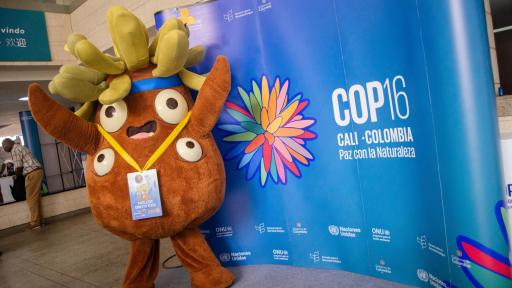 COP16, jueves 24 de octubre. Horarios, eventos y dónde ver en vivo