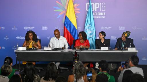 COP16: Apps for Checking the Schedule and Live Streaming