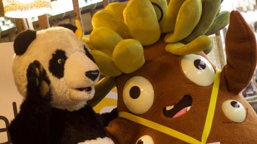 Programación COP16 HOY martes 29 de octubre: Horarios, eventos y ver en vivo