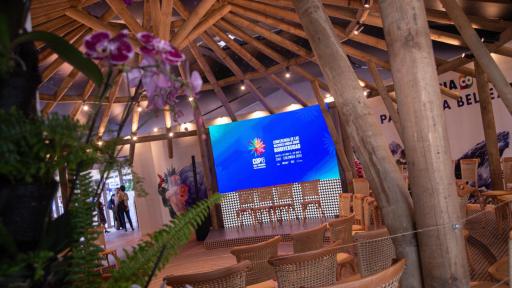 Programación COP16 HOY jueves 31 de octubre: Horarios, eventos y ver en vivo