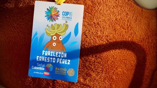 Programación COP16 HOY jueves 1 de noviembre: Horarios, eventos y ver en vivo