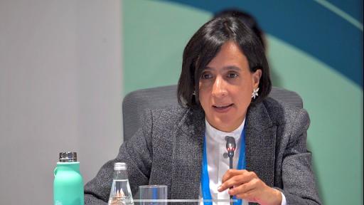  COP29: Susana Muhamad, señala que la restauración representa el 20% de la solución para la mitigación de emisiones hacia 2030