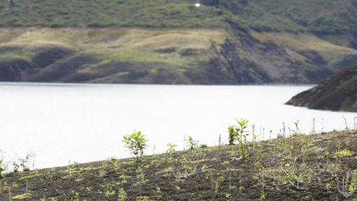 Racionamiento de agua en Bogotá: alcaldía aclara si tendrá cambios