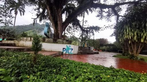 Avances diálogos de paz con disidencias en Catatumbo