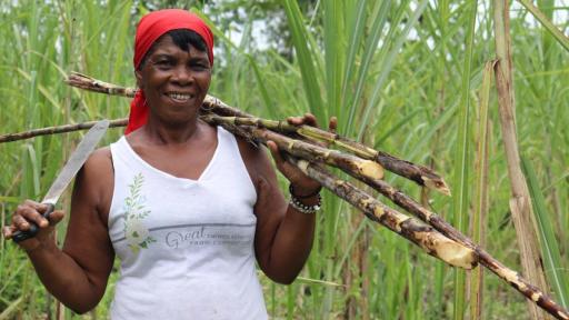 Bebidas ancestrales de Buenaventura: símbolo de herencia y resistencia afrocolombiana